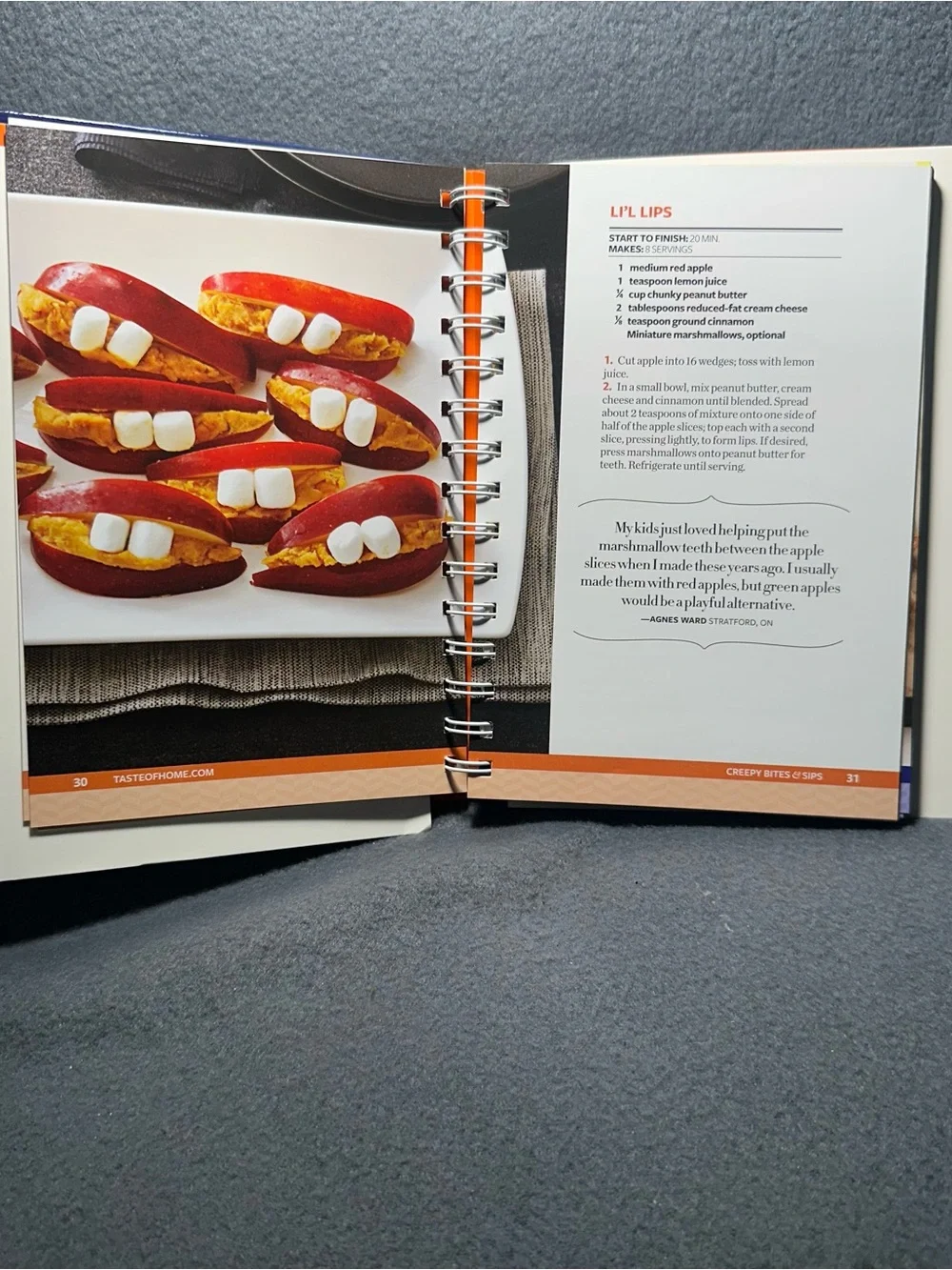 Taste of Home Halloween Party Recipe Book - Blue & Orange